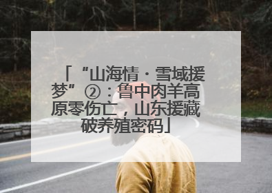 “山海情・雪域援梦”②：鲁中肉羊高原零伤亡，山东援藏破养殖密码